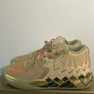 Puma melo golden child